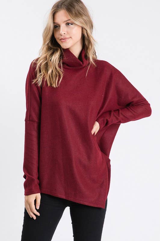 Ginger Turtle Neck Solid Top